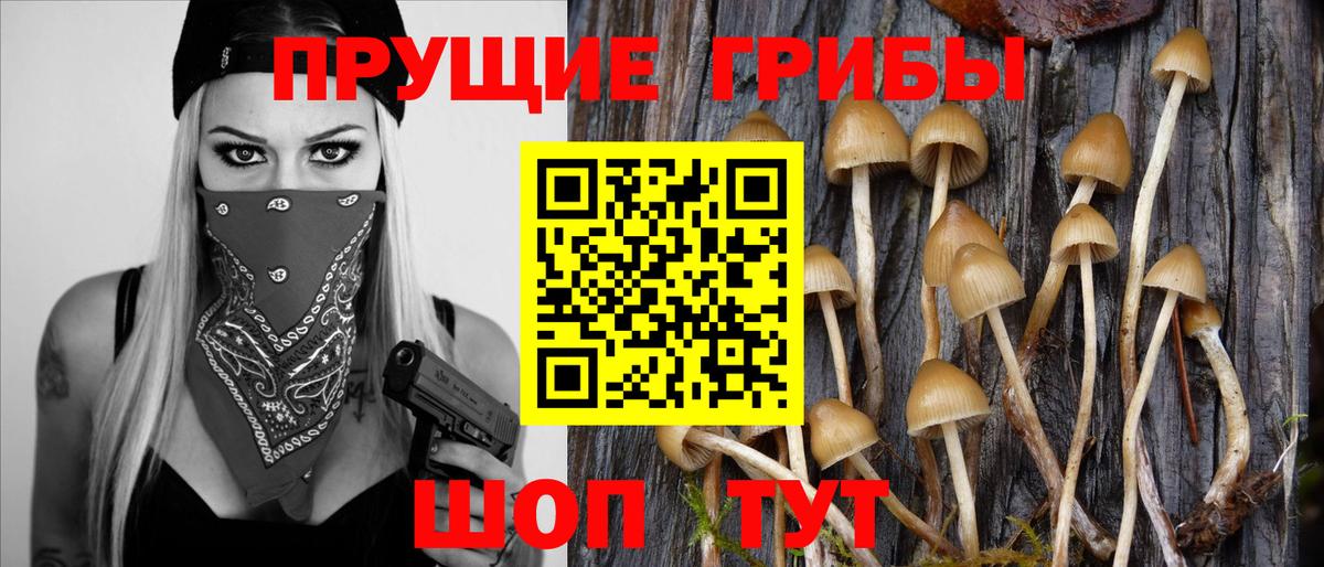 Псилоцибиновые грибы MAGIC MUSHROOMS Рубцовск